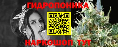 эйфоретик Новокубанск