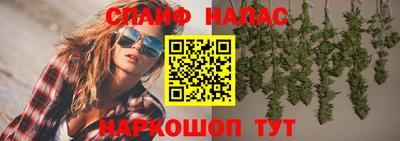прущий лед Новозыбков