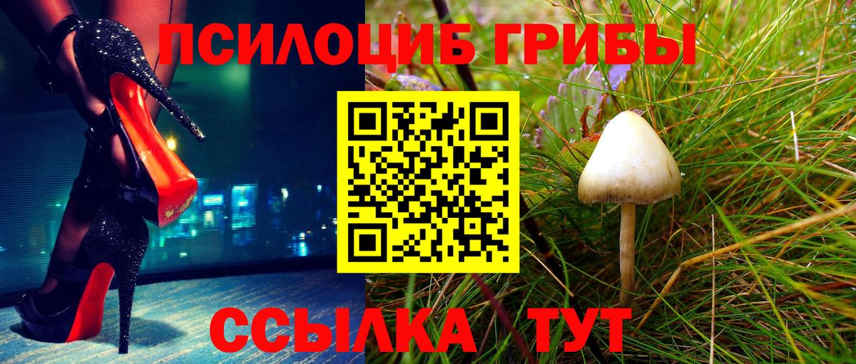 Псилоцибиновые грибы MAGIC MUSHROOMS  Вход с VPN  Сызрань 